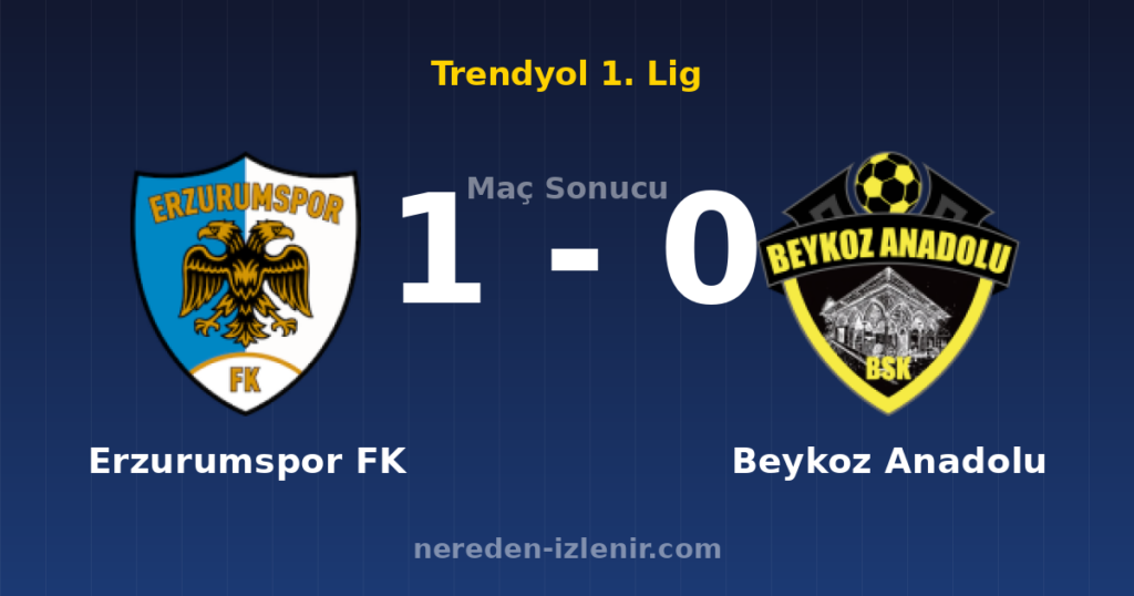 Erzurumspor FK 1-0 Beykoz Anadolu