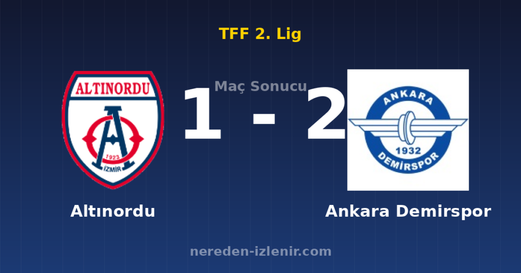Altınordu 1-2 Ankara Demirspor
