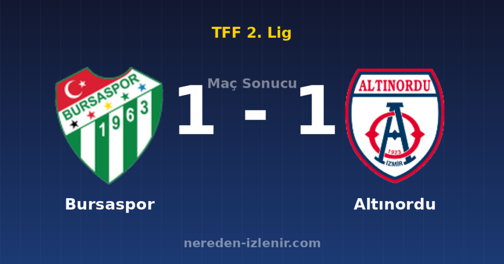 Bursaspor 1-1 Altınordu