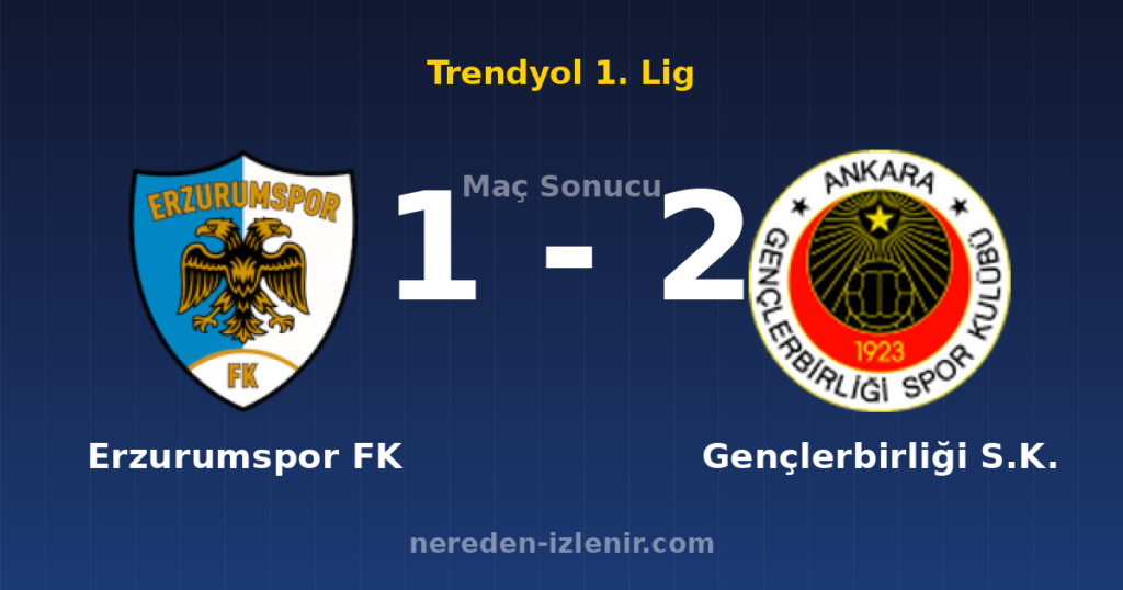 Erzurumspor FK 1-2 Gençlerbirliği S.K.
