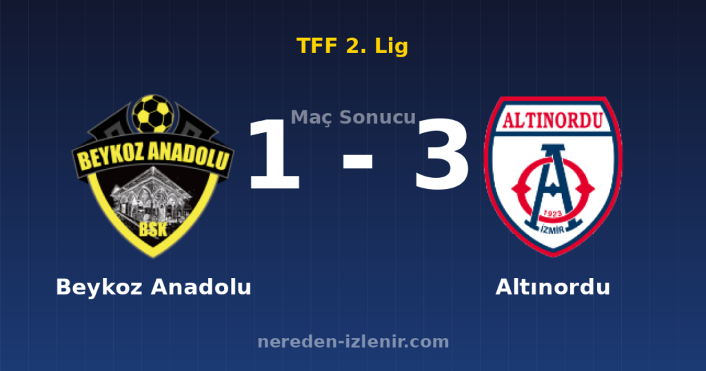 Beykoz Anadolu 1-3 Altınordu