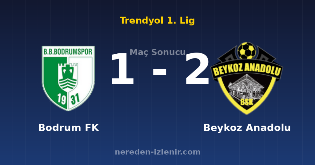 Bodrum FK 1-2 Beykoz Anadolu