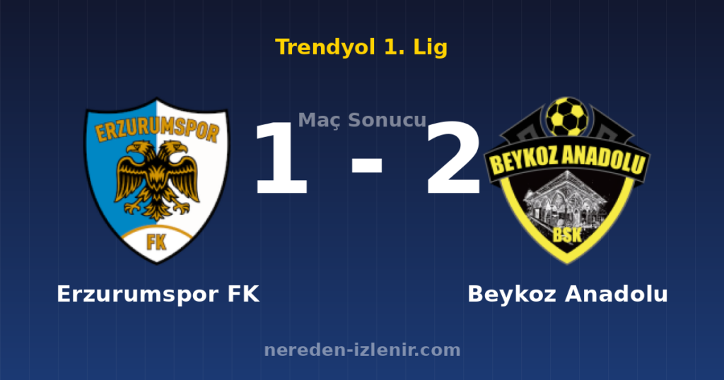 Erzurumspor FK 1-2 Beykoz Anadolu