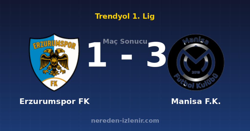 Erzurumspor FK 1-3 Manisa F.K.