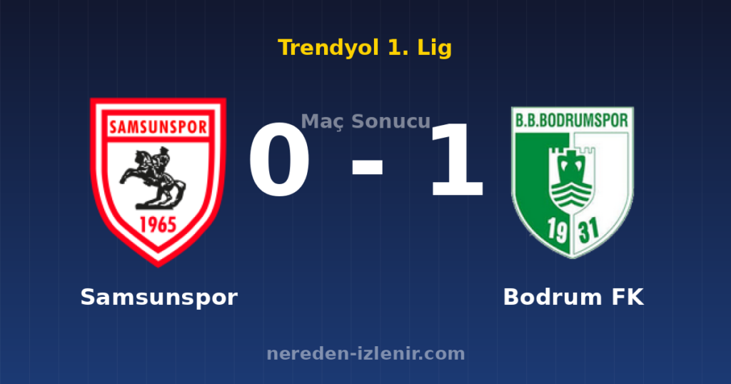Samsunspor 0-1 Bodrum FK