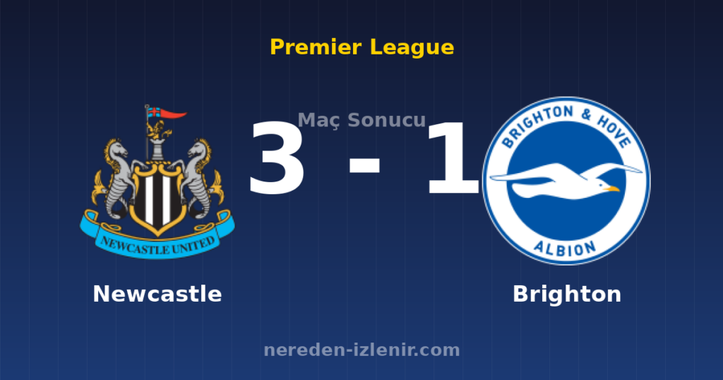 Newcastle 3-1 Brighton