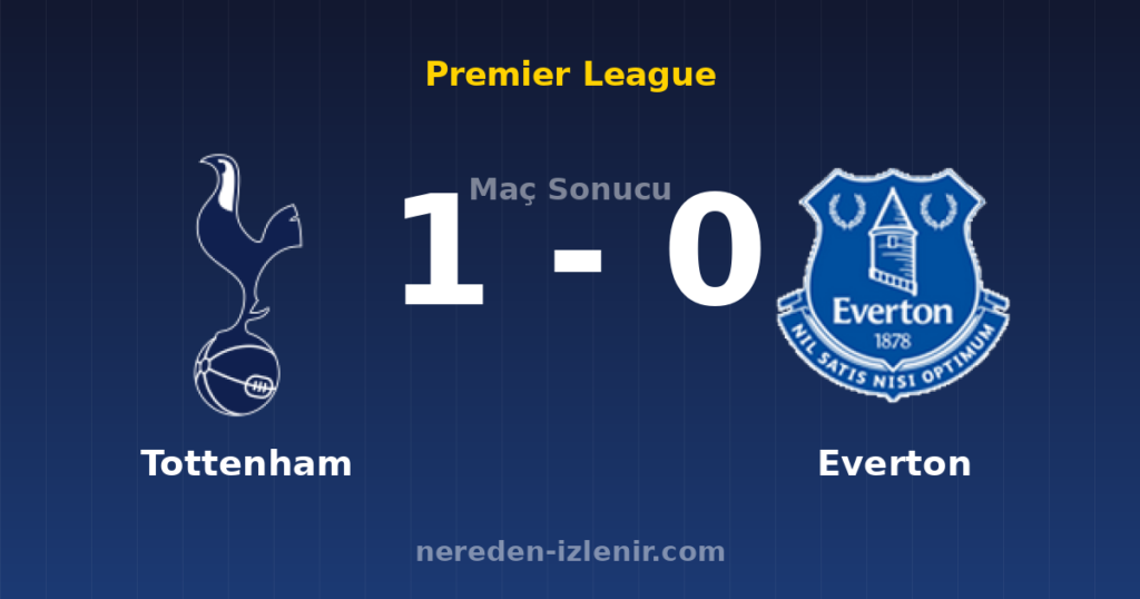 Tottenham 1-0 Everton