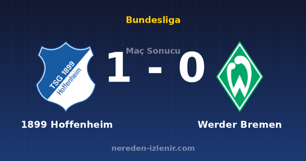 1899 Hoffenheim 1-0 Werder Bremen