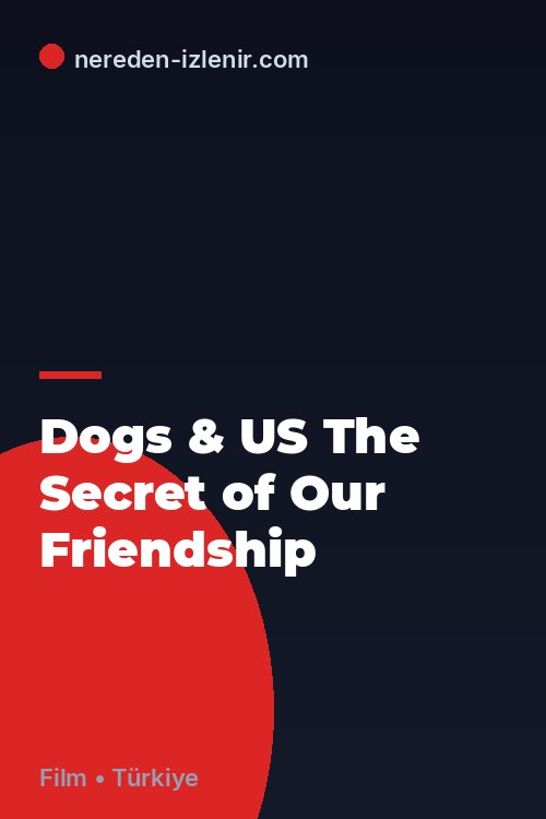 Dogs & US The Secret of Our Friendship